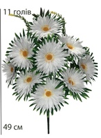 Ромашка одностороння-11